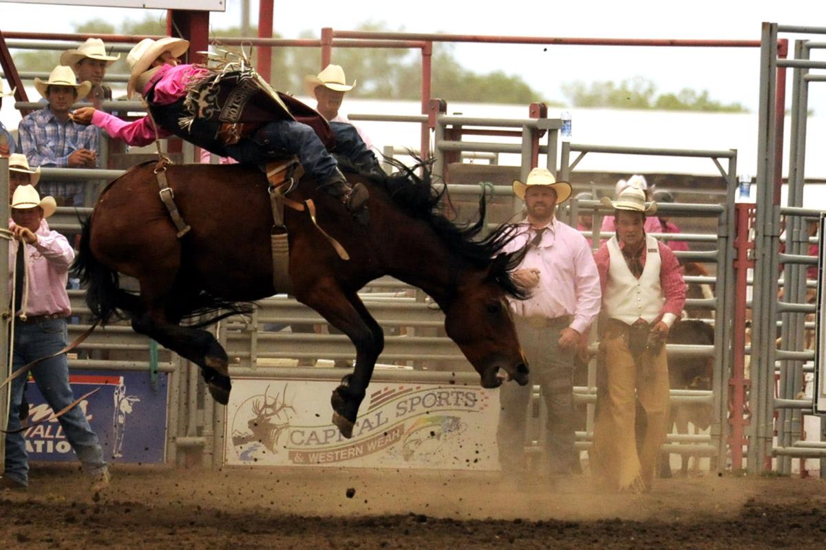 Canadian bull rider scores big at Last Chance Stampede Rodeo