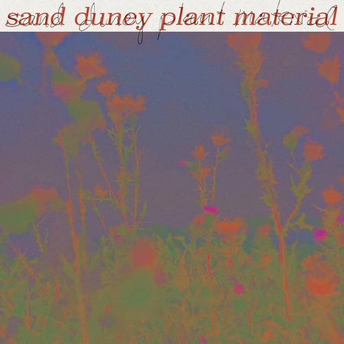 Sand Duney