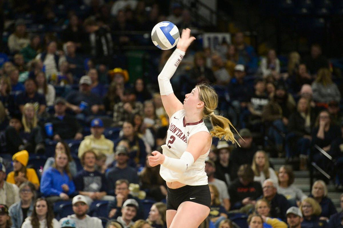 Cats Set to Face Wichita State in NIVC Fab Four - Montana State University  Athletics