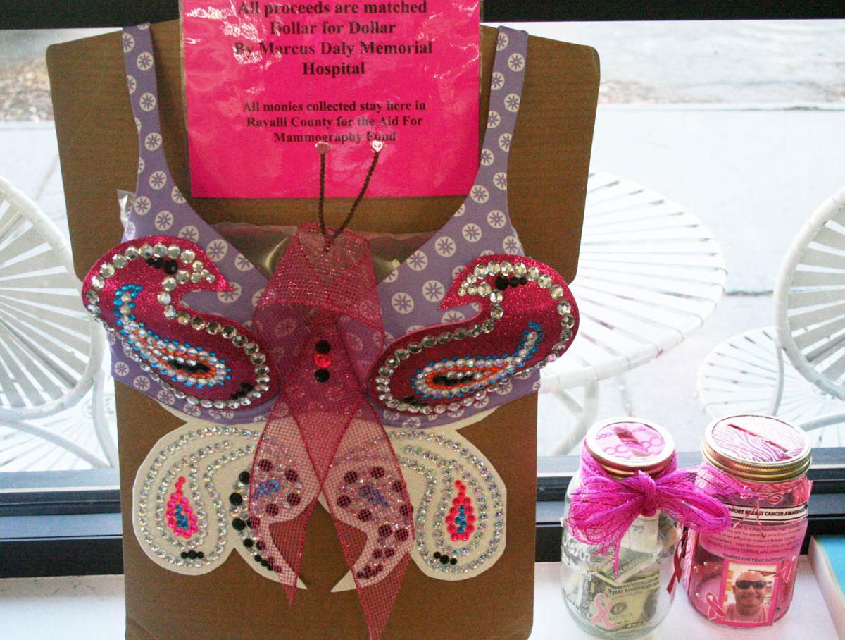 BlingABra contest entries on display in Stevensville State