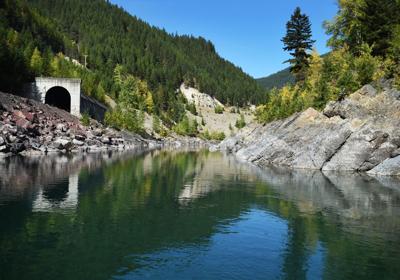 Middle Fork Flathead stock