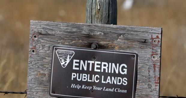 Backcountry Horsemen, BLM join forces to open access to 6,400 Carbon County acres