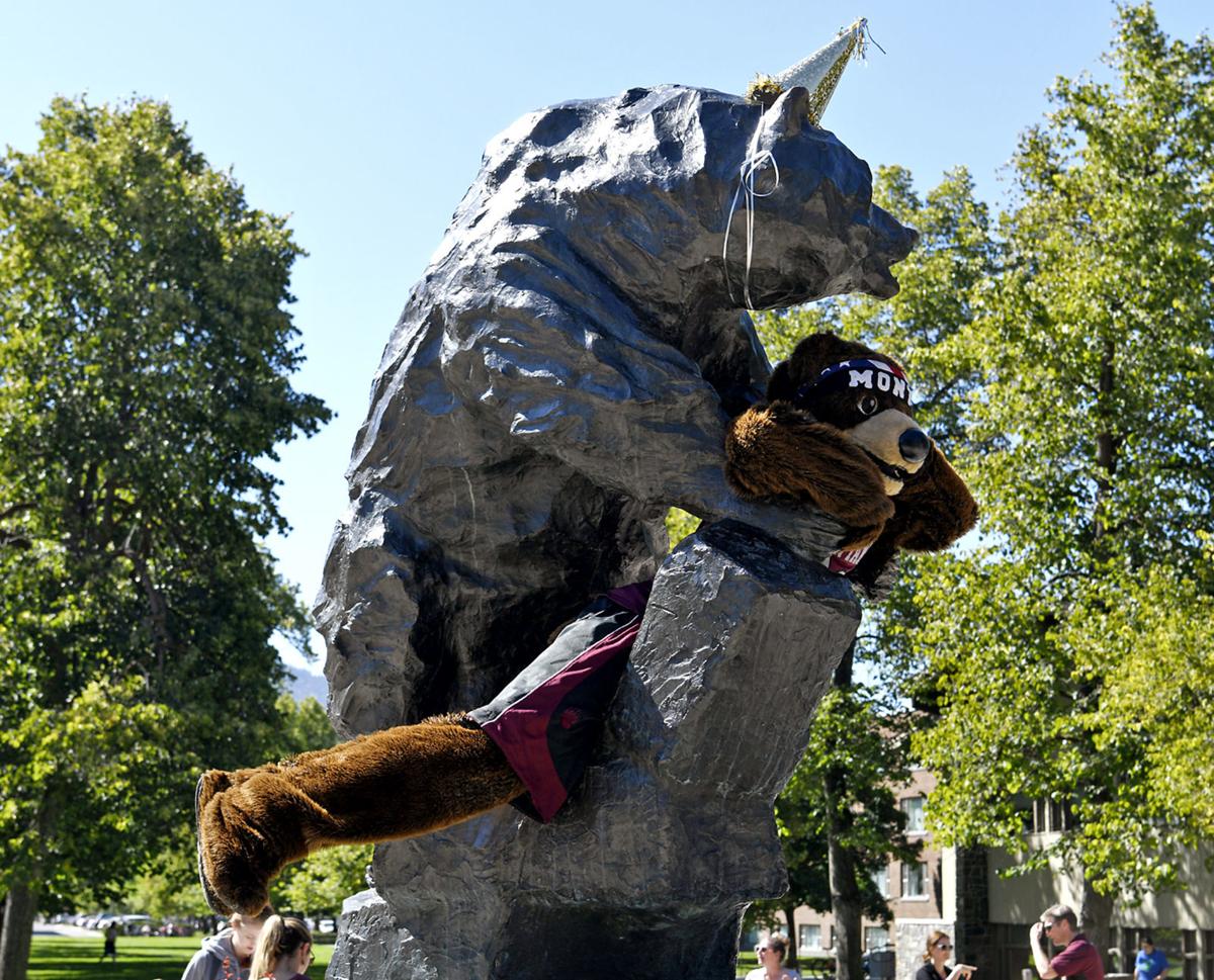 Um S Grizzly Bear Celebrates 50 Years Local News Missoulian Com