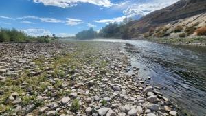 Upper and lower sections of Big Hole River closed to fishing due to low flows