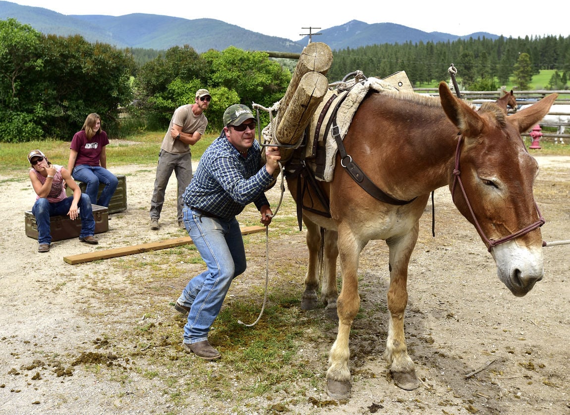 packers-come-to-learn-from-the-mules-outdoors-missoulian