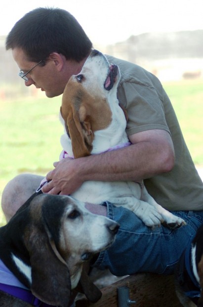 basset hound lovers