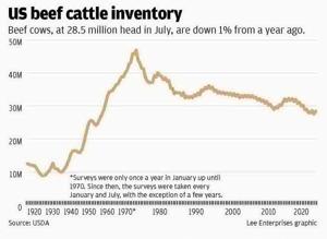 Share of the cut