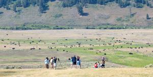Busiest month in Yellowstone? July visitation drops