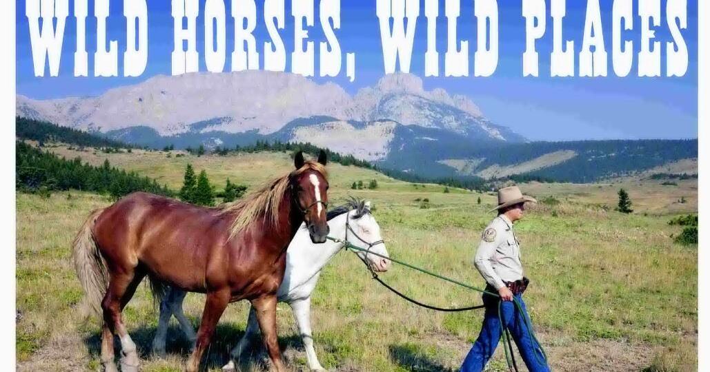 WILD HORSES, WILD PLACES