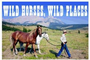 WILD HORSES, WILD PLACES