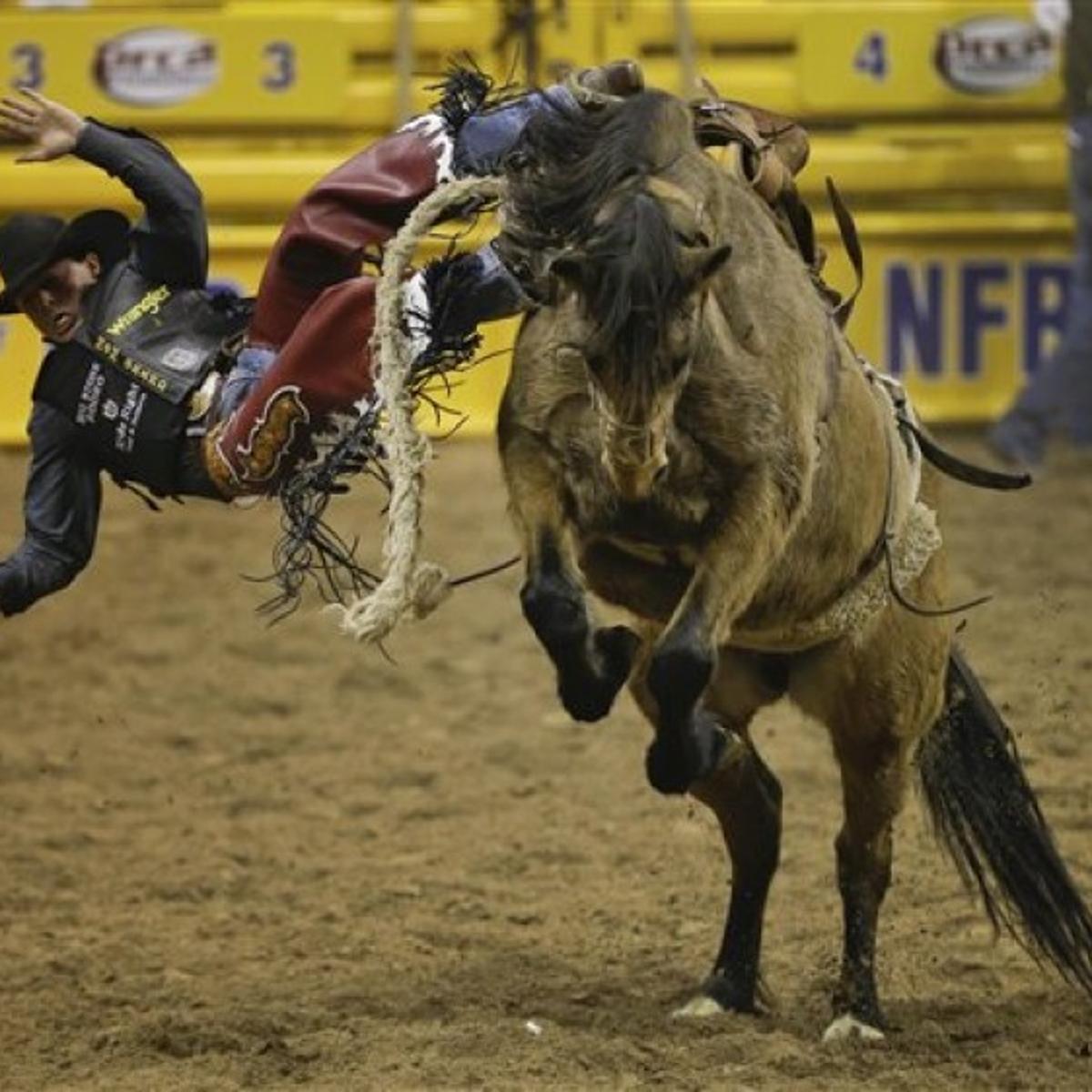 Tuf Cooper Takes Tie Down Roping Lead Rodeo Missoulian Com Tuf Cooper Takes Tie Down Roping Lead Rodeo Missoulian Com