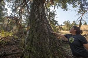 ‘Quadruple win’: Wildlife corridor, Fort Harrison buffer bought by Prickly Pear Land Trust