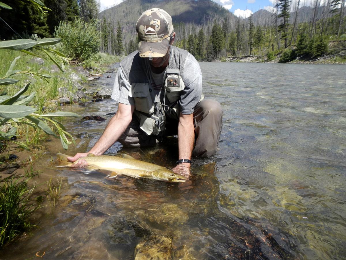 Watery garden of Eden Lo, bull trout findeth refuge in remote Glacier lake State & Regional