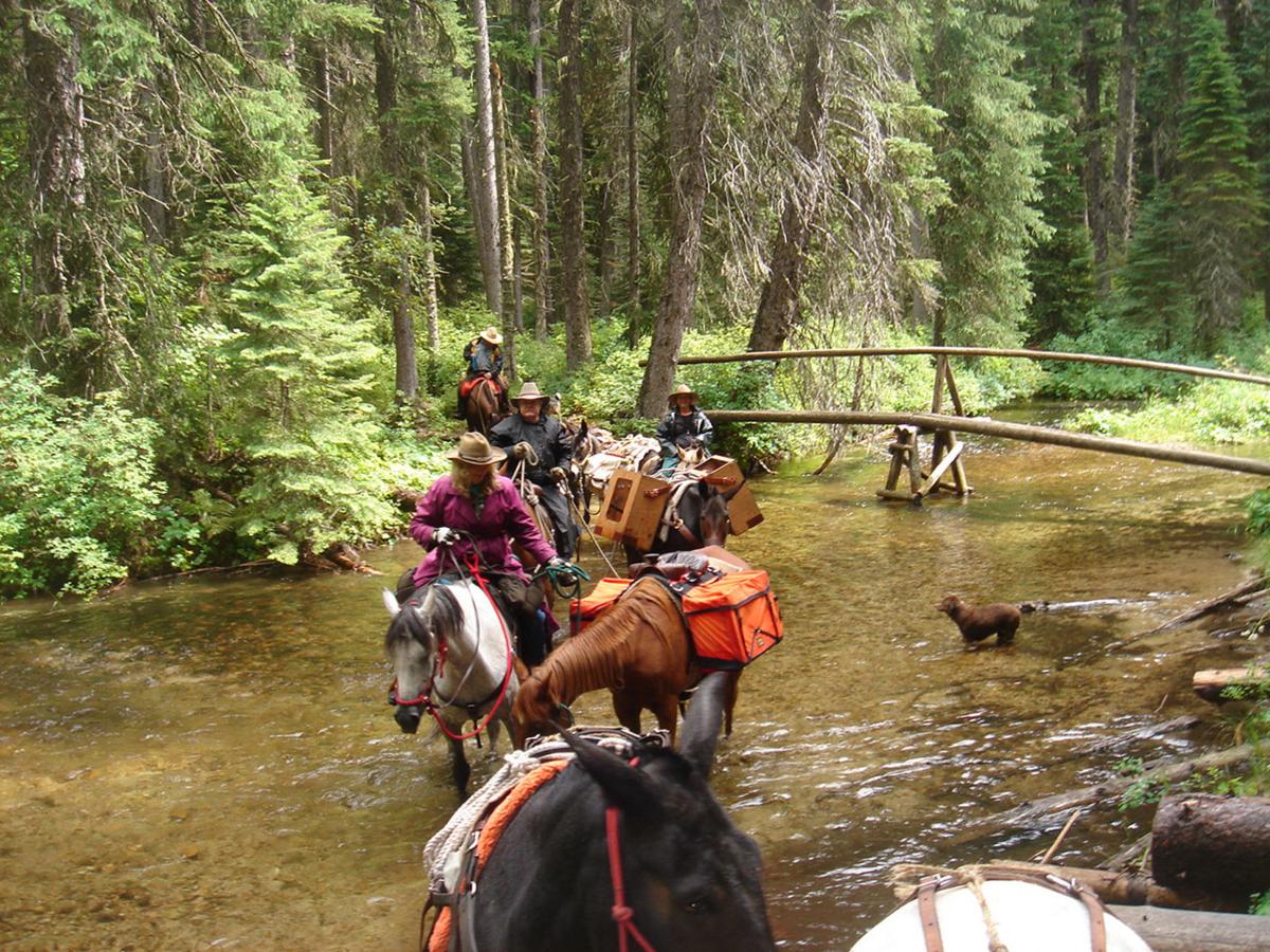 Volunteers get wilderness experience in exchange for SelwayBitterroot work State & Regional