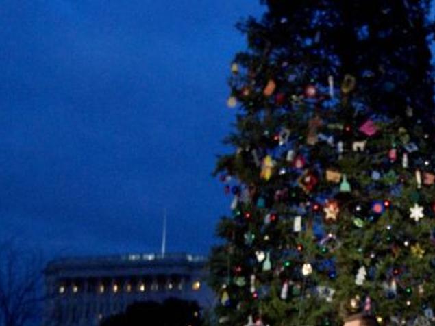 Christmas Tree Permits 2022 Corvallis Oregon Bitterroot National Forest To Offer Christmas Tree Permits | State &  Regional | Missoulian.com