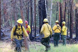 Stage two fire restrictions to take effect Friday in Ravalli County