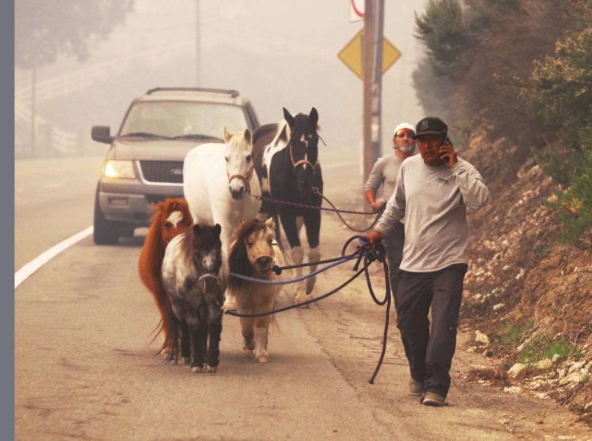 California Wildfires