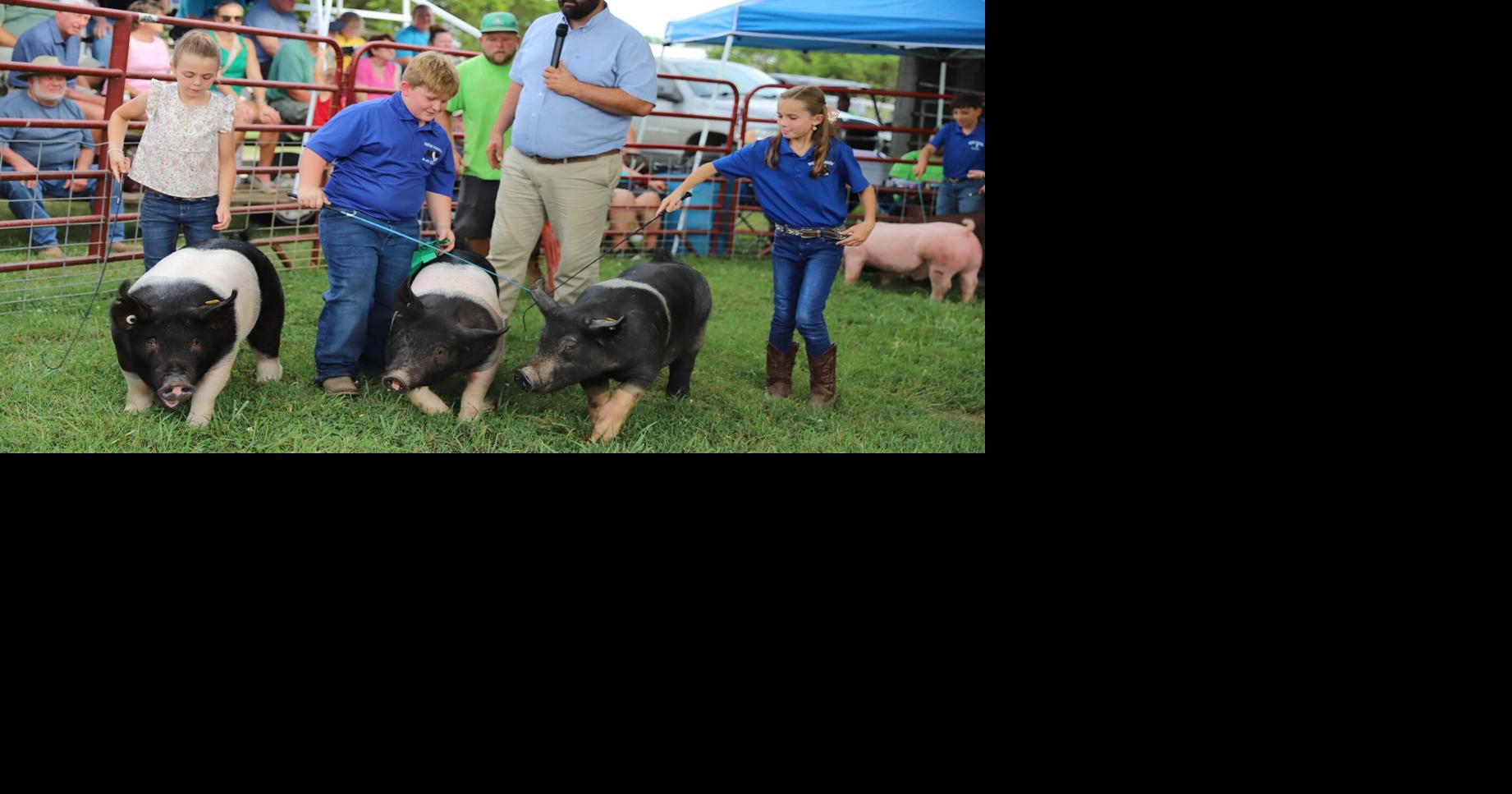 PHOTO GALLERY: New Haven flocks to community youth fair