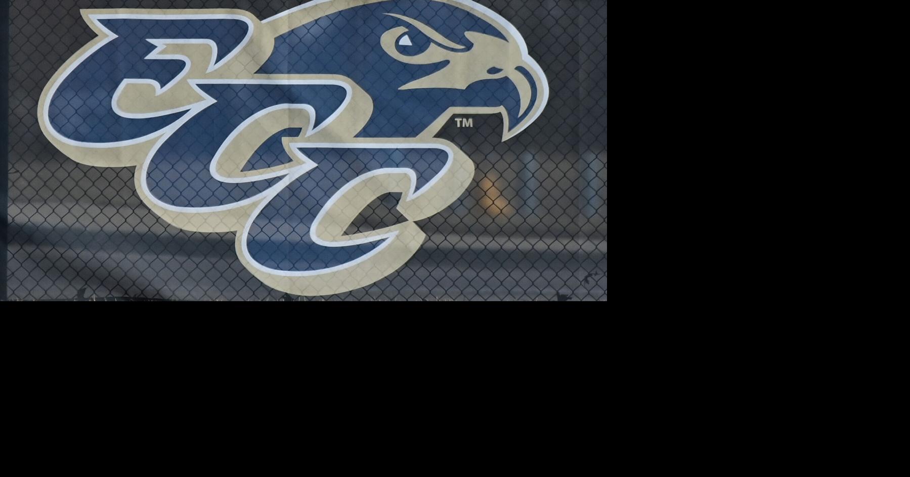 Softball Falcons sweep Arkansas games