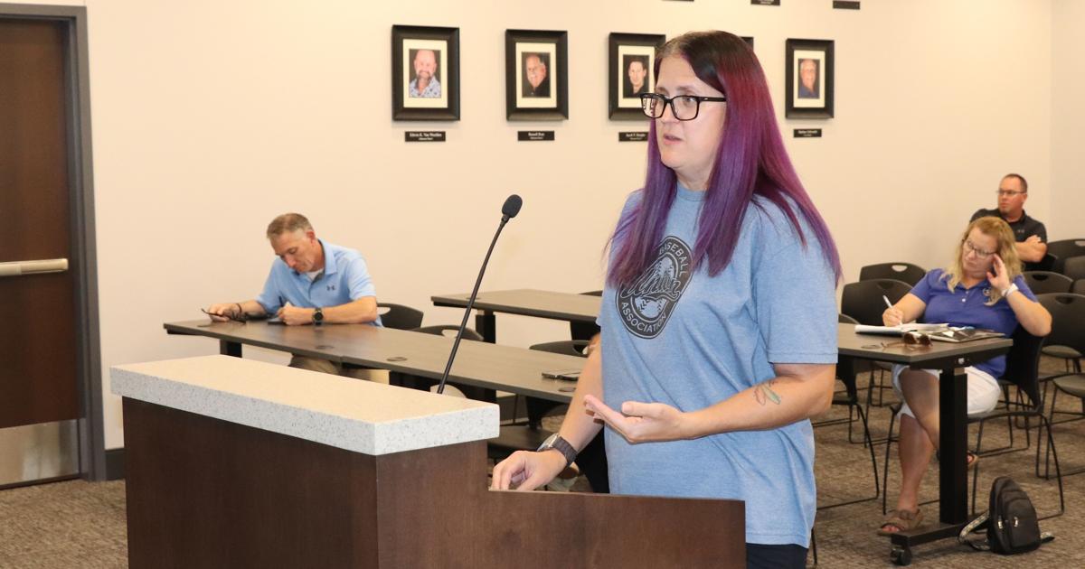Union baseball and softball concession plan put forward