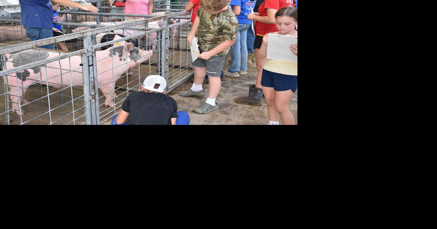 PHOTO GALLERY: Livestock Judging Contest By Bill Miller Jr., bmillerjr@emissourian.com Aug 12, 2026 5 mins ago