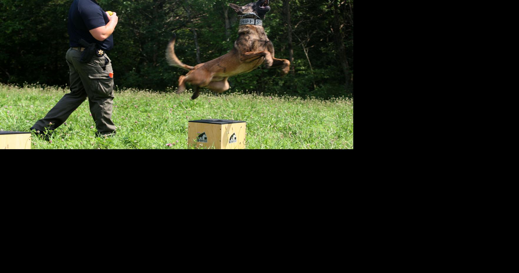 Franklin County to pay for K-9 surgery with opioid funds Geoff Folsom folsomg@emissourian.com Aug 23, 2026 4 mins ago