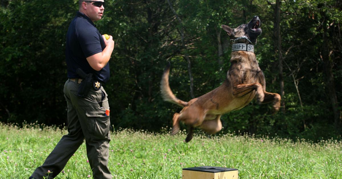 Franklin County to pay for K-9 surgery with opioid funds Geoff Folsom folsomg@emissourian.com Aug 23, 2026 4 mins ago
