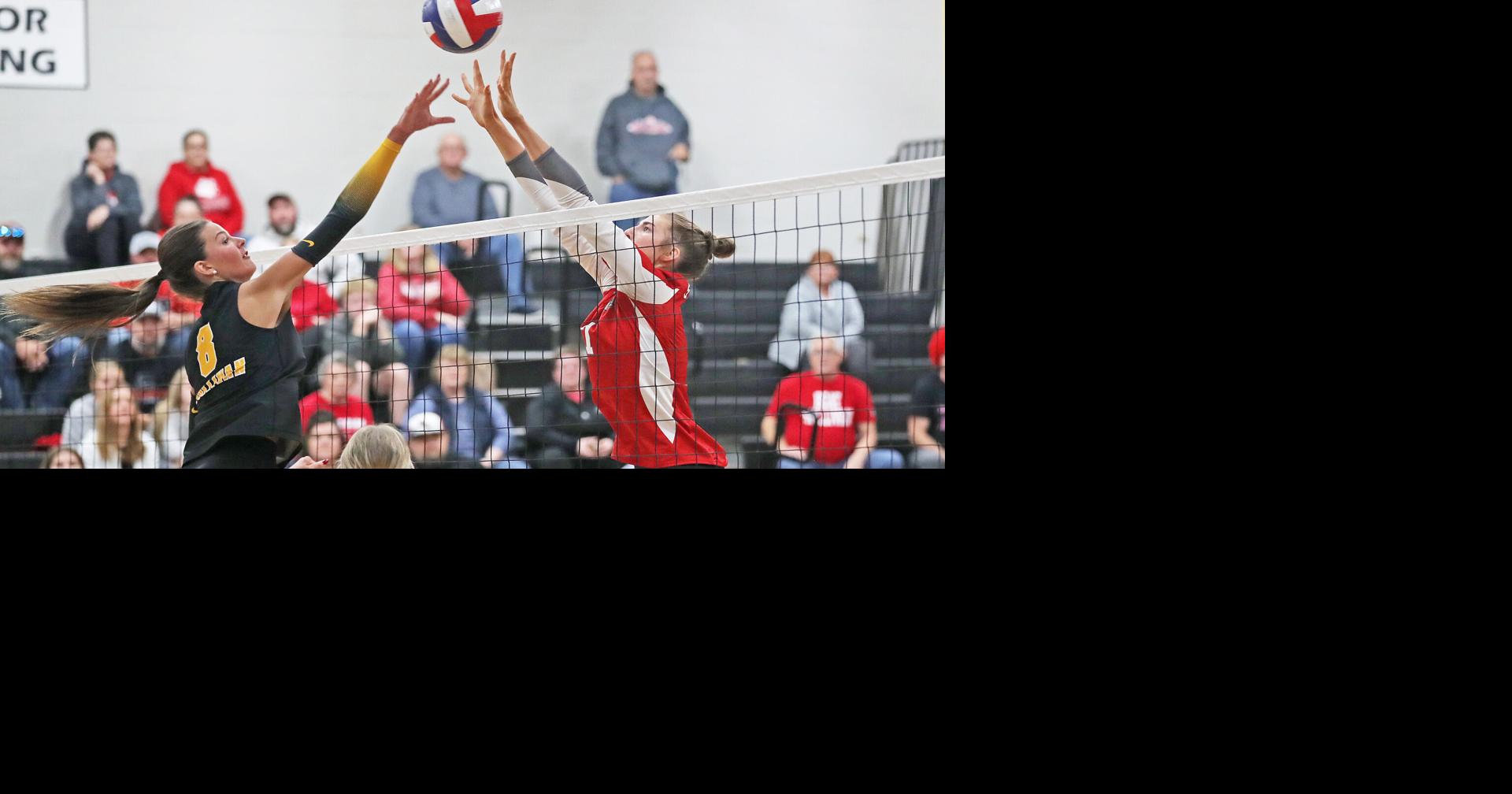Sullivan secures top all-area volleyball awards | Sports | missourian.com