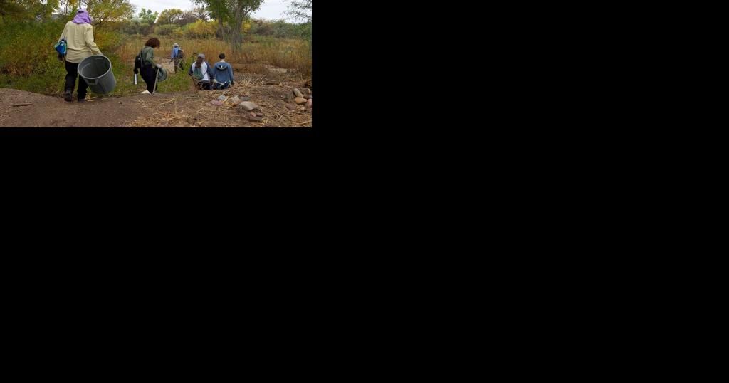 Watershed Management Group removes invasive plants to aid in river flow, land restoration in Tucson - Vimarsana News