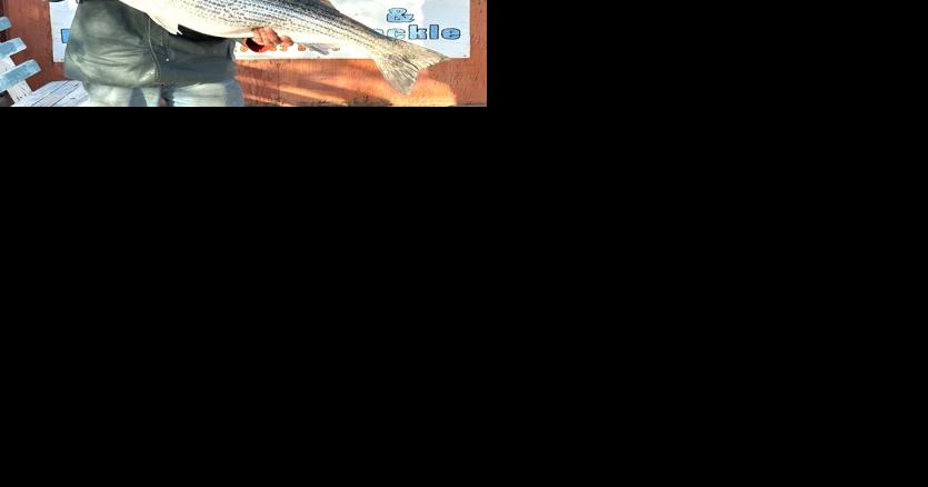 An early entry for 'fish of the year' - Vimarsana News