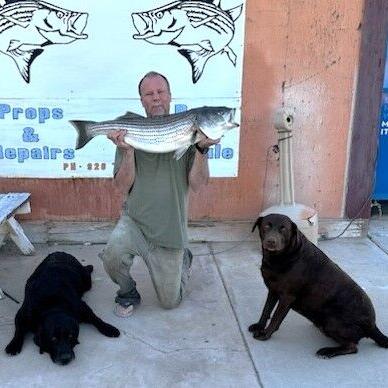 Some anglers finding larger stripers - Vimarsana News
