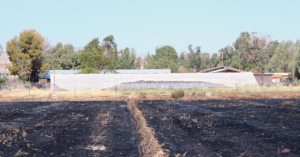 Gratitude in the aftermath: Family thankful Triple Farms survived