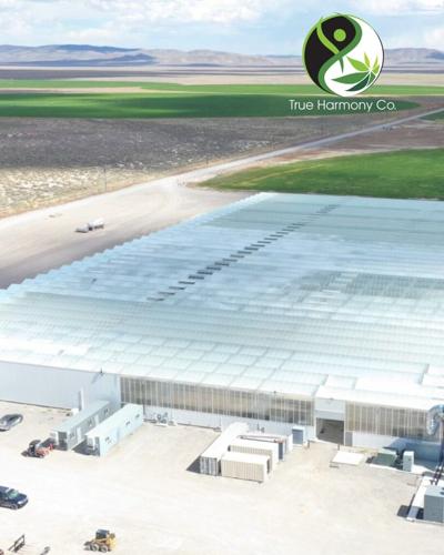 True Harmony Company Launches State-of-the-Art Cannabis Cultivation Facility in Nevada