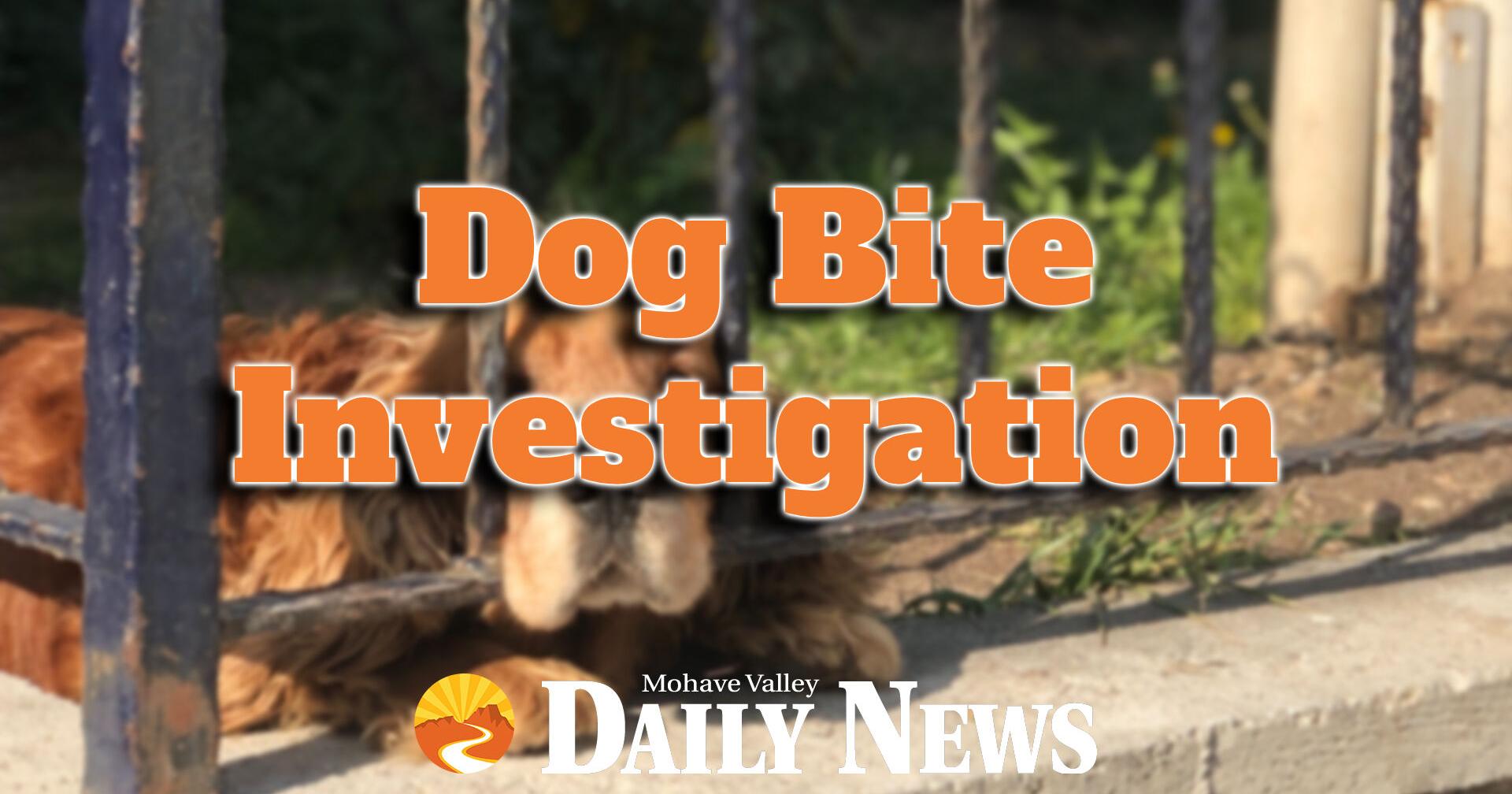 Bullhead City Animal Care and Welfare officers looking for dog in bite investigation - Vimarsana News