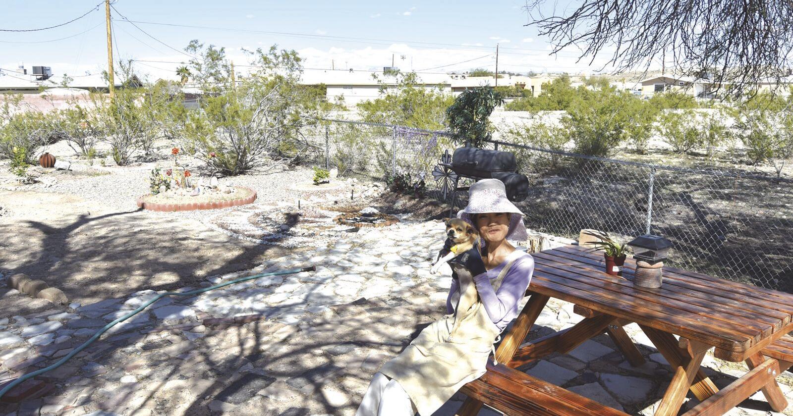 'Everything is useful': Discarded materials become artistic landscaping - Vimarsana News