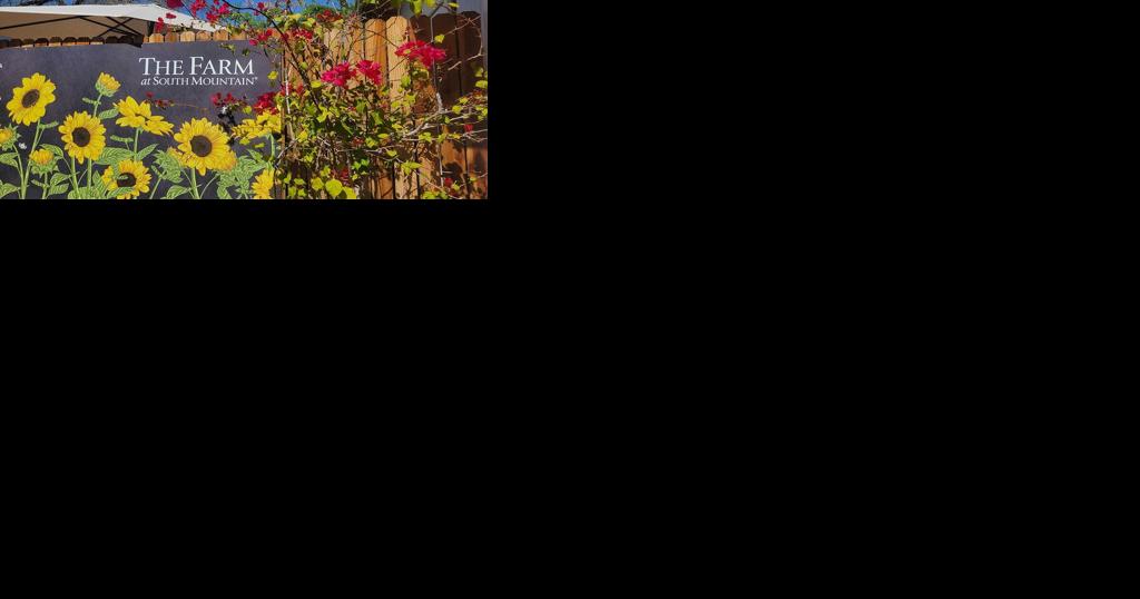 Where flower fields historically grew, the next generation of farmers cultivates south Phoenix - Vimarsana News