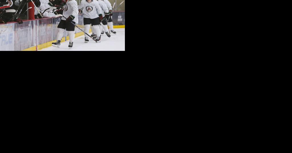 Arizona Coyotes prospects shine at 2023 development camp despite unknown future - Vimarsana News