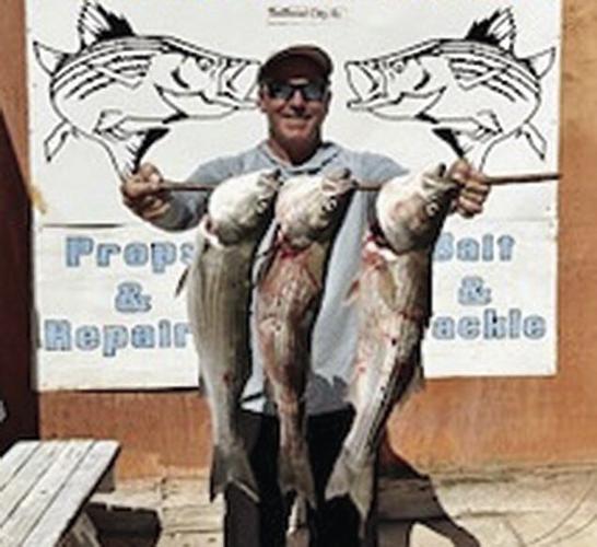 Striper fishing going 'great' in some spots Sports
