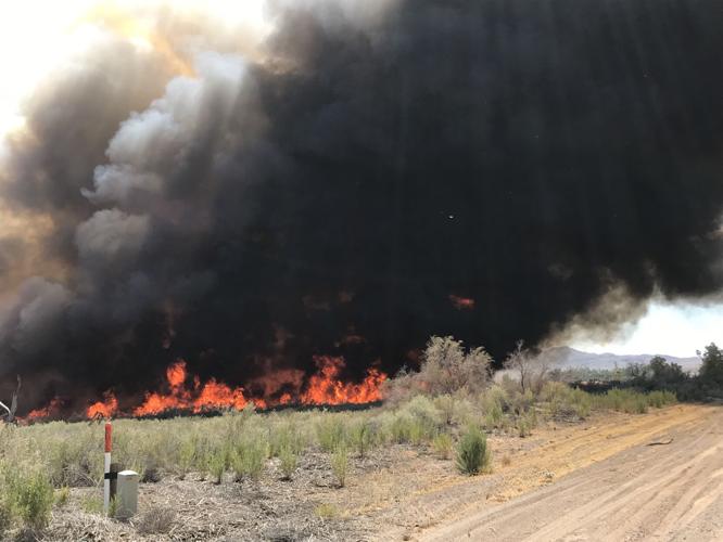 Brush fire in Needles jumps river into Mohave Valley | News