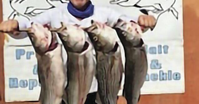 Stripers strike at Lake Mohave - Vimarsana News