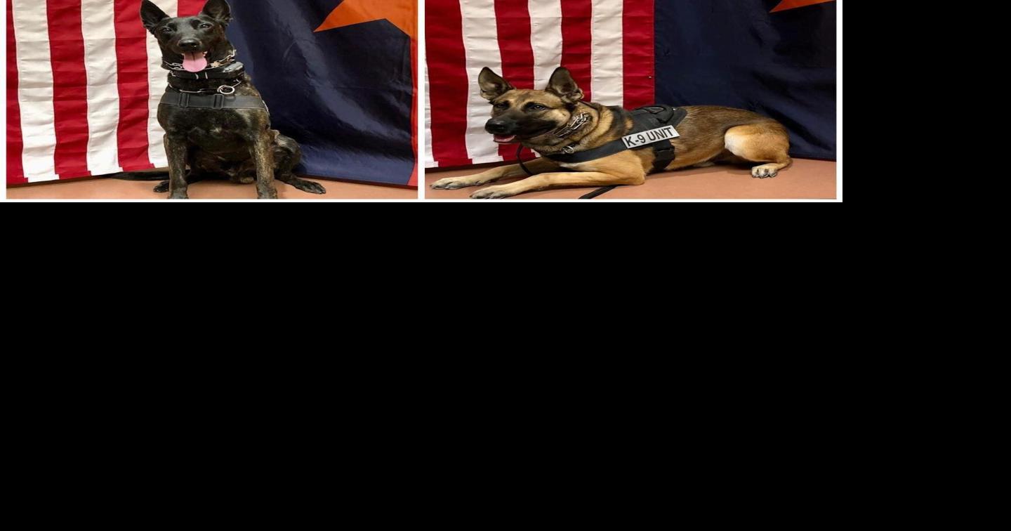 National Police K9 Day News