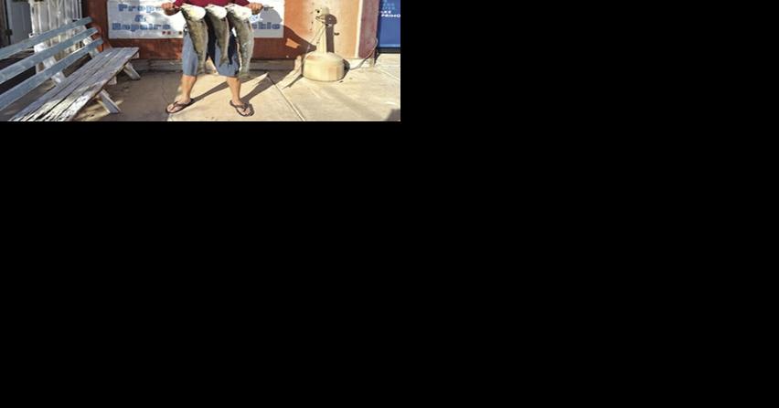 'Nice' stripers among recent catches - Vimarsana News