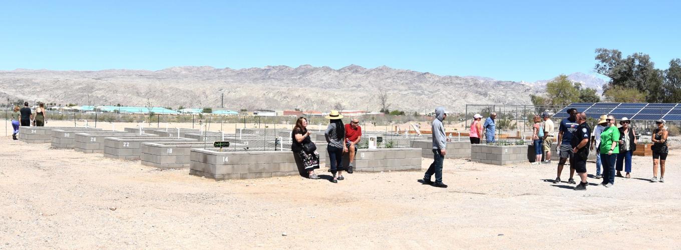 Community Garden concrete block beds