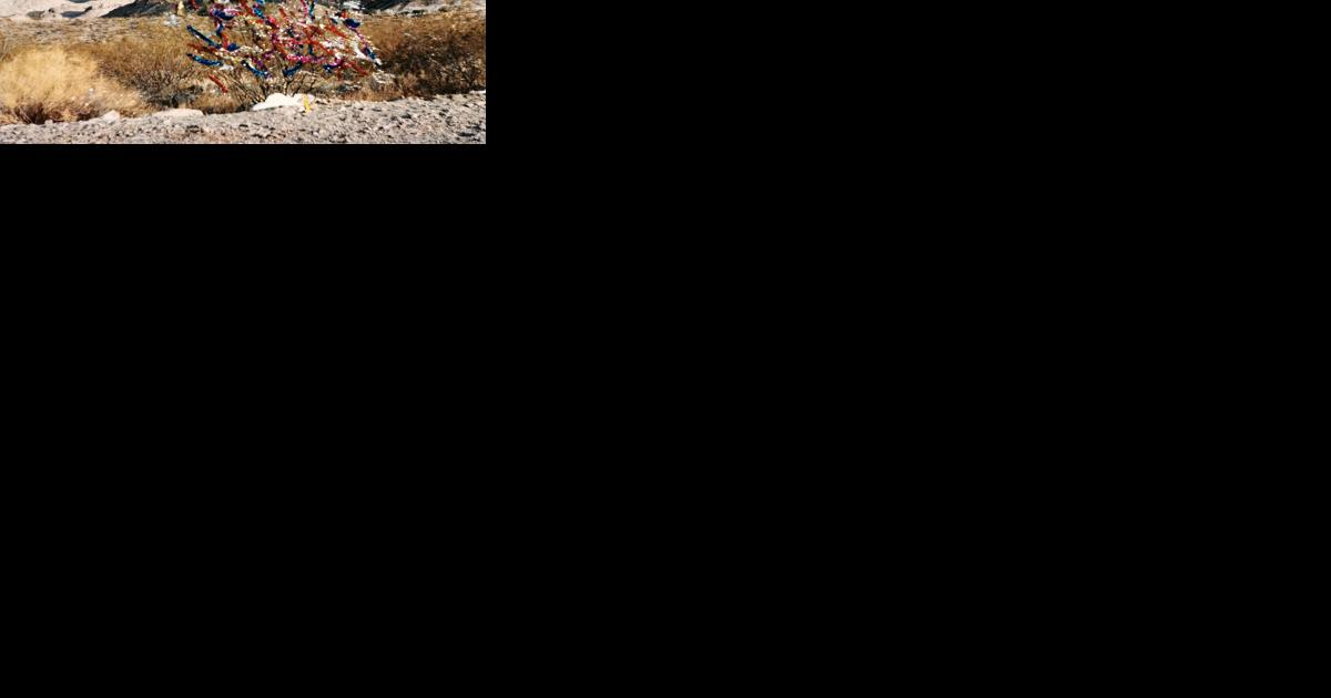 Oatman Chamber hosts 34th Christmas Bush decorating contest - Vimarsana News