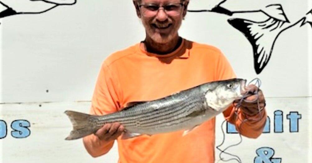 Fishing 'doing very well' in Colorado River - Vimarsana News