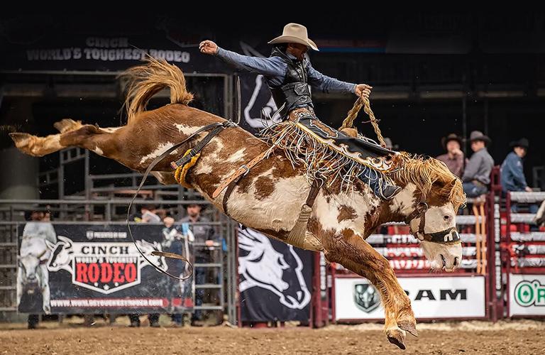 Weekend Happenings | Rodeo rides in this weekend, alongside country ...