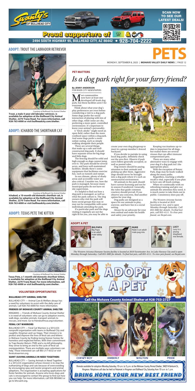 Page A12