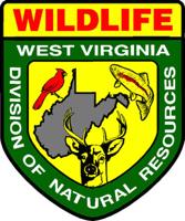 WVDNR reminds hunters to field tag, electronically check big game harvests