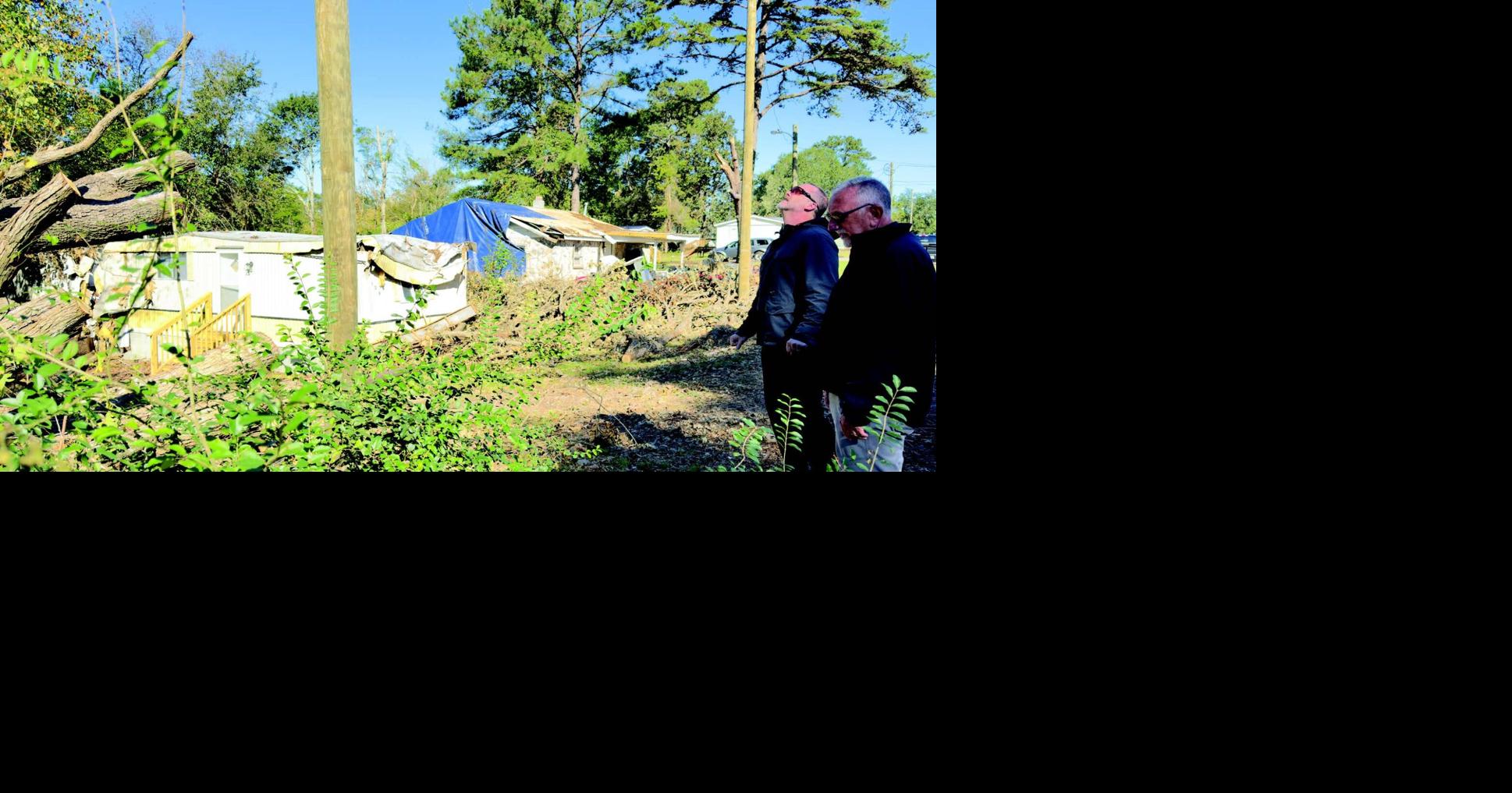 Update on Brutonville recovery