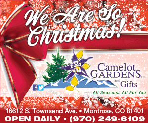 Camelot Gardens - Newsletter Ad